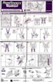 Soundwave with Laserbeak hires scan of Instructions